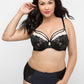 Black Tulip Strappy Lace Push Up
