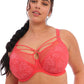 Brianna Uw Plunge Bra-34